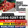 Toko Rumput Plastik Rengasdengklok.jpg