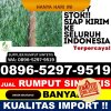 Supplier Rumput Palsu Muara Badak.jpg