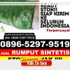 Supplier Rumput Sintetis Kabupaten Subang.jpg