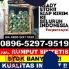 Toko Rumput Palsu Buntu Pane.jpg