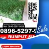 Supplier Rumput Sintetis Kabupaten Wonogiri.jpg