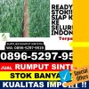 Supplier Rumput Palsu Naman Teran.jpg