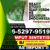 Supplier Rumput Sintetis Kalijambe.jpg