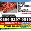 Supplier Rumput Palsu Ngamprah.jpg