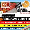 Supplier Rumput Palsu Padaherang.jpg