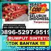 Supplier Rumput Palsu Pagaden.jpg