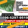 Supplier Rumput Sintetis Kedopok.jpg