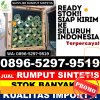 Toko Rumput Palsu Daha Barat.jpg