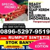 Supplier Rumput Palsu Pamekasan.jpg