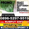 Supplier Rumput Sintetis Kelumpang Barat.jpg