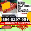 Supplier Rumput Palsu Panjalu.jpg