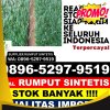 Supplier Rumput Sintetis Ketungau Hulu.jpg