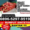 Supplier Rumput Palsu Parengan.jpg