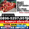 Supplier Rumput Palsu Pasie Raya.jpg