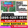 Supplier Rumput Sintetis Kota Blora.jpg