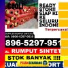 Supplier Rumput Palsu Pekanbaru Kota.jpg