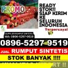 Supplier Rumput Palsu Pengadegan.jpg