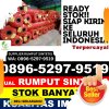 Supplier Rumput Palsu Plaosan.jpg