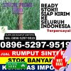 Supplier Rumput Sintetis Kuripan.jpg