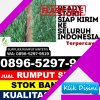 Supplier Rumput Sintetis Langkahan.jpg