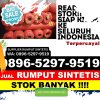 Toko Rumput Plastik Tamiang Hulu.jpg