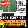 Supplier Rumput Sintetis Lenteng.jpg