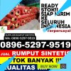 Supplier Rumput Palsu Rajeg.jpg