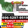 Toko Rumput Palsu Kabupaten Katingan.jpg