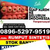 Toko Rumput Plastik Telukbetung Timur.jpg