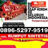 Supplier Rumput Palsu Sajoanging.jpg