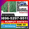 Supplier Rumput Sintetis Mandioli Utara.jpg