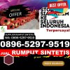 Supplier Rumput Palsu Sangir Batang Hari.jpg