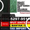 Supplier Rumput Sintetis Margoyoso.jpg