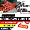 Supplier Rumput Palsu Seberida.jpg