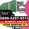 Supplier Rumput Sintetis Mayangan.jpg