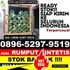 Supplier Rumput Imitasi Air Hitam.jpg