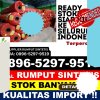 Supplier Rumput Palsu Sekernan.jpg