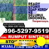 Supplier Rumput Sintetis Mekarjaya.jpg