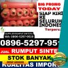 Supplier Rumput Palsu Semarang Tengah.jpg