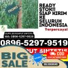 Supplier Rumput Sintetis Merapi Selatan.jpg