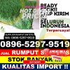 Toko Rumput Palsu Kampung Laut.jpg