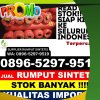 Supplier Rumput Palsu Sepang.jpg