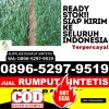 Supplier Rumput Sintetis Miri.jpg