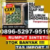 Supplier Rumput Imitasi Babussalam.jpg