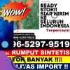 Supplier Rumput Sintetis Moyo Utara.jpg