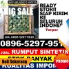 Supplier Rumput Imitasi Banda Baro.jpg