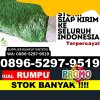 Toko Rumput Palsu Kawedanan.jpg