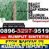 Supplier Rumput Sintetis Mutiara.jpg