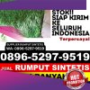 Toko Rumput Palsu Kedu.jpg