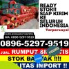 Supplier Rumput Sintetis Ngadirejo.jpg